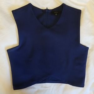 Aritzia Blue Crop Top